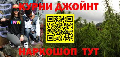 шишки Гусь-Хрустальный